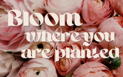 January inspiration – Bloom Where You Are Planted
